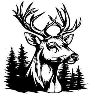 Cadre en bois cerf majestueux dans les bois